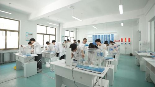 技能啟航未來(lái)，職教鑄就夢(mèng)想——蘭州資源環(huán)境職業(yè)技術(shù)大學(xué)旅游信息咨詢服務(wù)專業(yè)建設(shè)探索